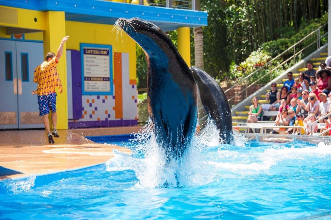 Pool, Games & Bbq Luxury Texas Сasa de vacaciones